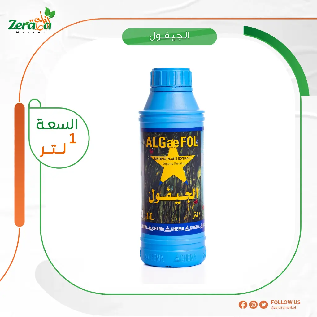 الجيفول طحالب - 1 لتر