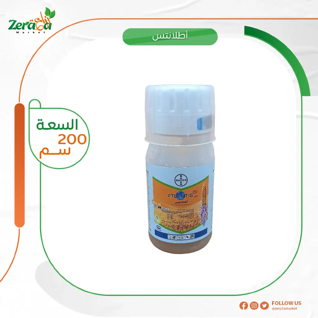 اطلانتس -  200 سم