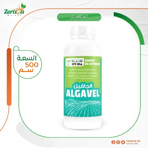 [FS00007] الجافيل طحالب - 500 سم