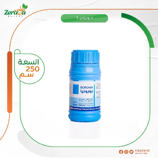 [FS00017] بورونيا بورون موليبدنم- 250 سم